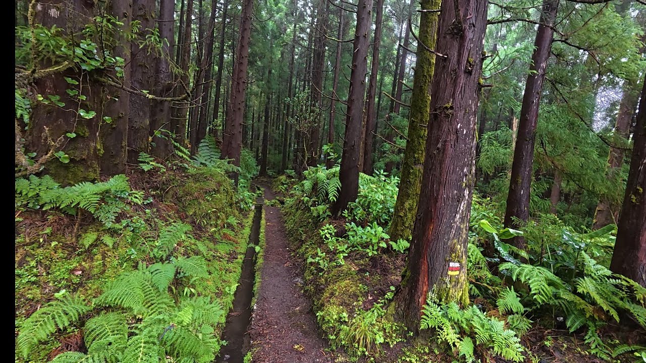 AZORES - FAIAL - LEVADA TRAIL HIKE 2/2