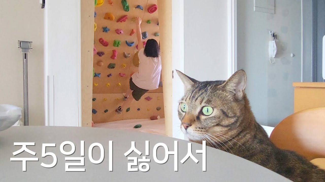 나는 주3일만 일하기로 했다