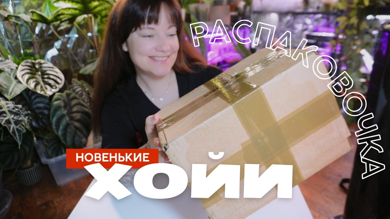 РАСПАКОВКА: новенькие ХОЙИ и немного про уход
