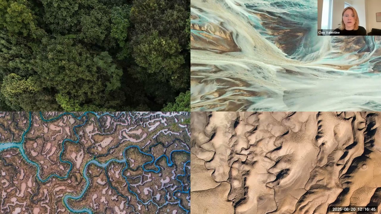 Research Connections | Architectural Neuroimmunology and how the Built Environment Shapes Stress