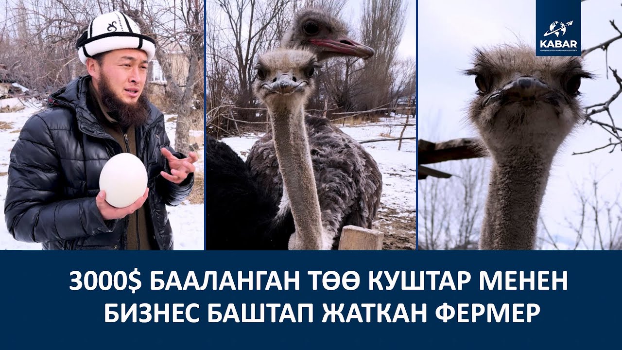 “КОЙГО КАРАГАНДА ЖЕМ-ЧӨПТҮ АЗ ЖЕП, ЭТТИ 2 ЭСЕГЕ КӨП БЕРЕТ