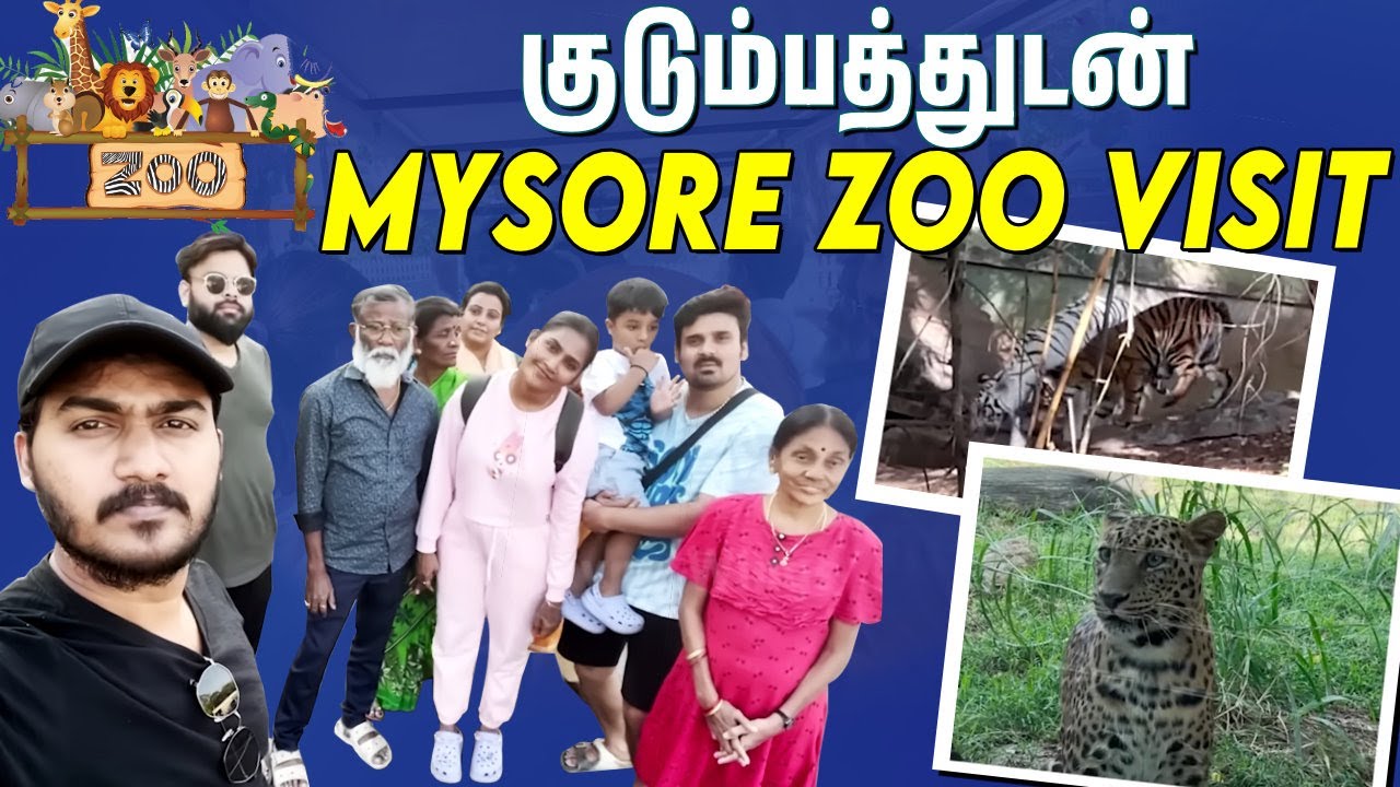 Kingkong பாக்கணும் Daddy | Mysore Zoo-வில் Dhruv Atrocities 😂💥 | Myna Wings