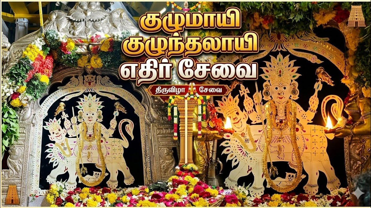 குழுமாயி குழுந்தலாயி எதிர் சேவை💥