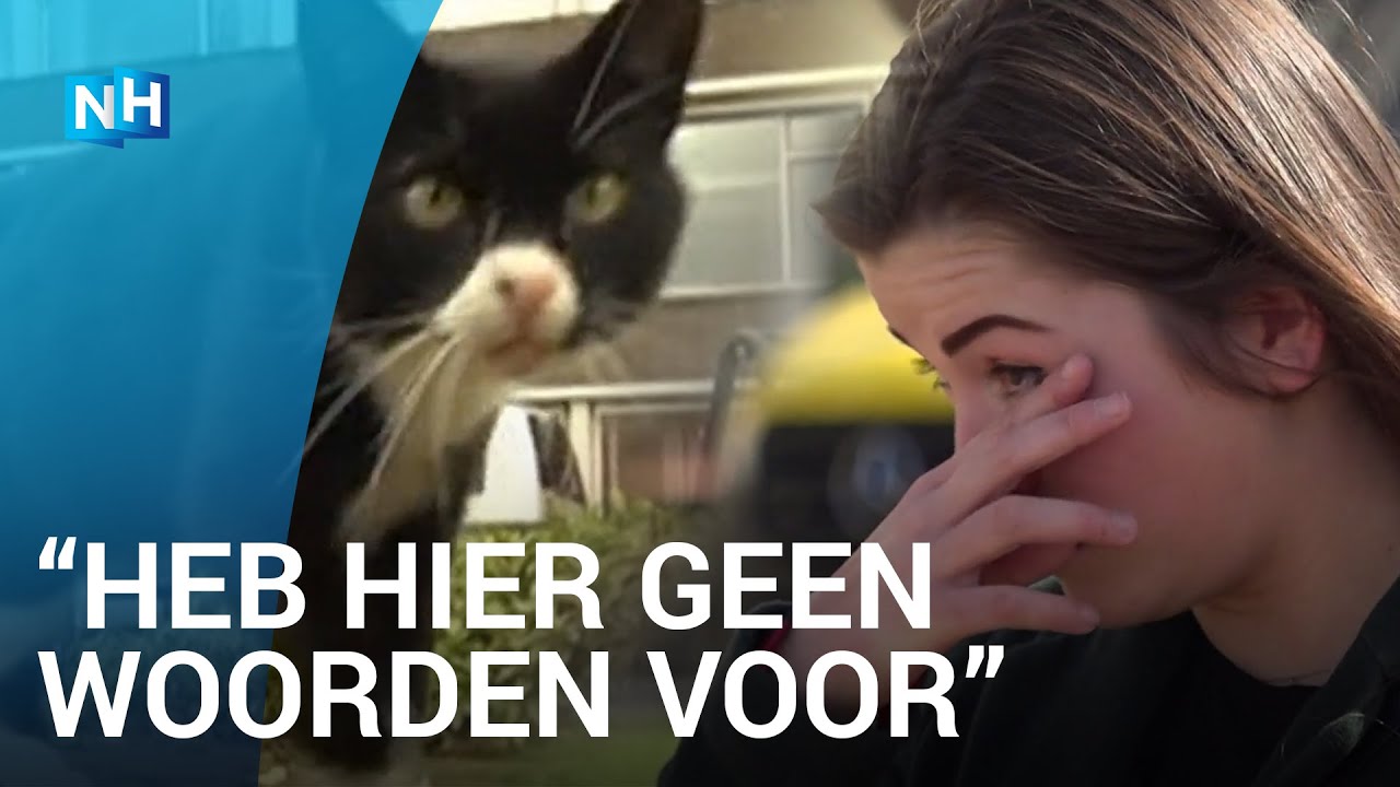 Ziekenhuiskat Wodka overleden, 5000 euro opgehaald voor standbeeld