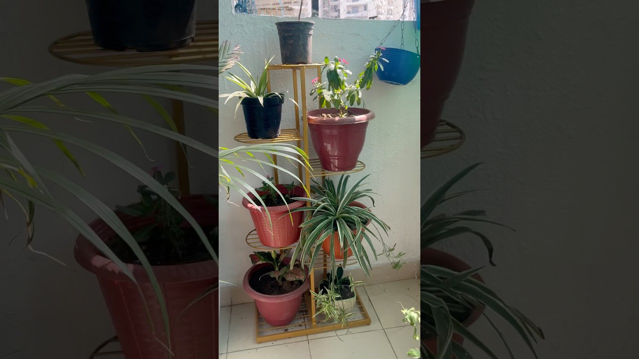 Meesho | 7Pot Plant Stand #reviewslab25#meeshofinds#viral #plantstand#garden#onlineshopping#viral