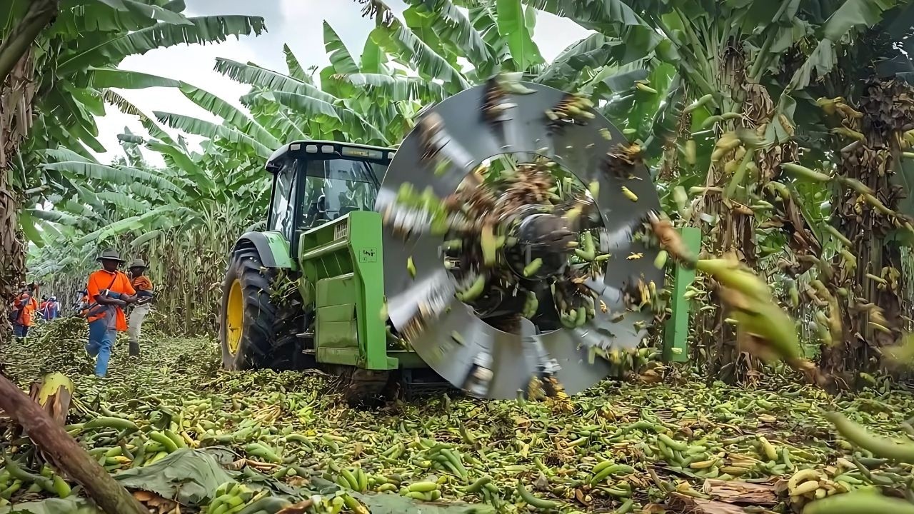 La VERDAD SOBRE la Agricultura Moderna que Nadie te Cuenta