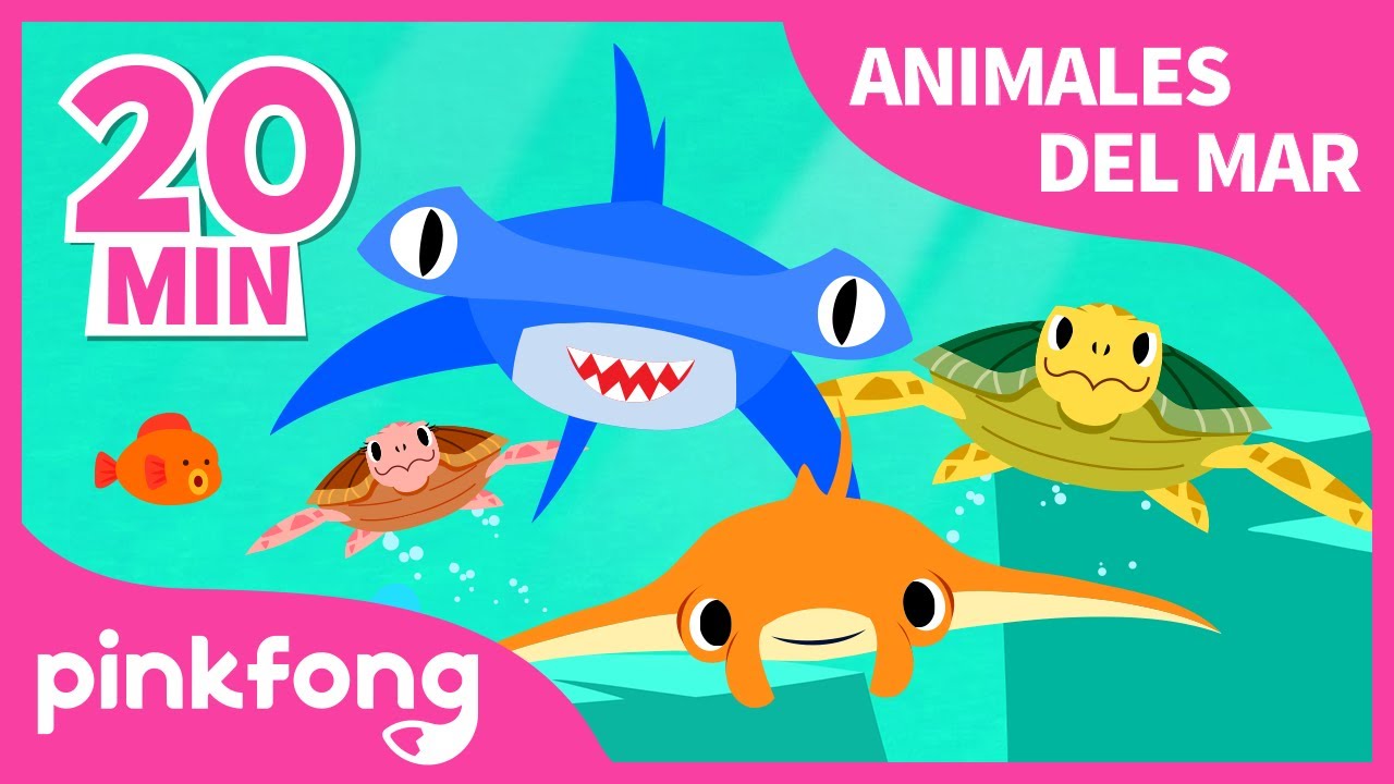Las Mejores Canciones de Animales del Mar | Tiburón y más música infantil | +Recopilación | Pinkfong