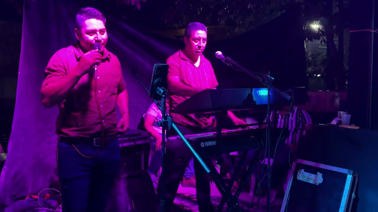MICAELA, LA ABEJA MIOPE, Caballito de Palo _  KALEO y sus Teclados En Vivo