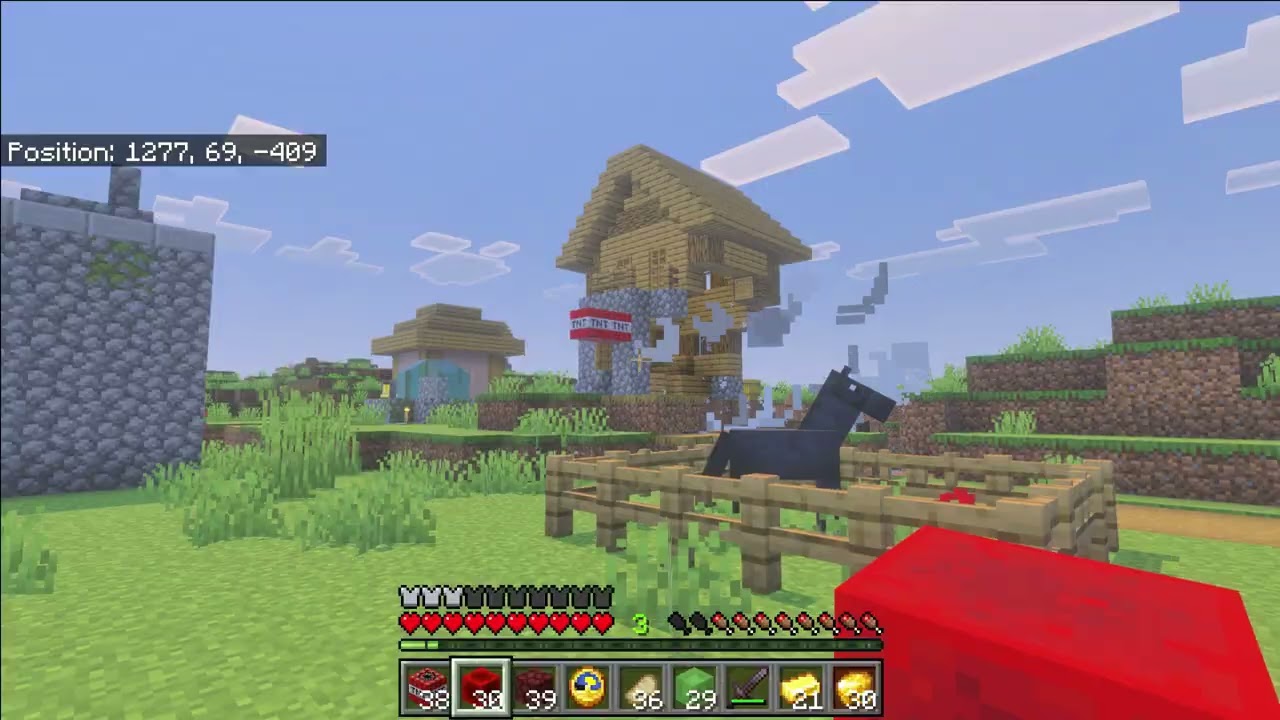 Minecraft village.