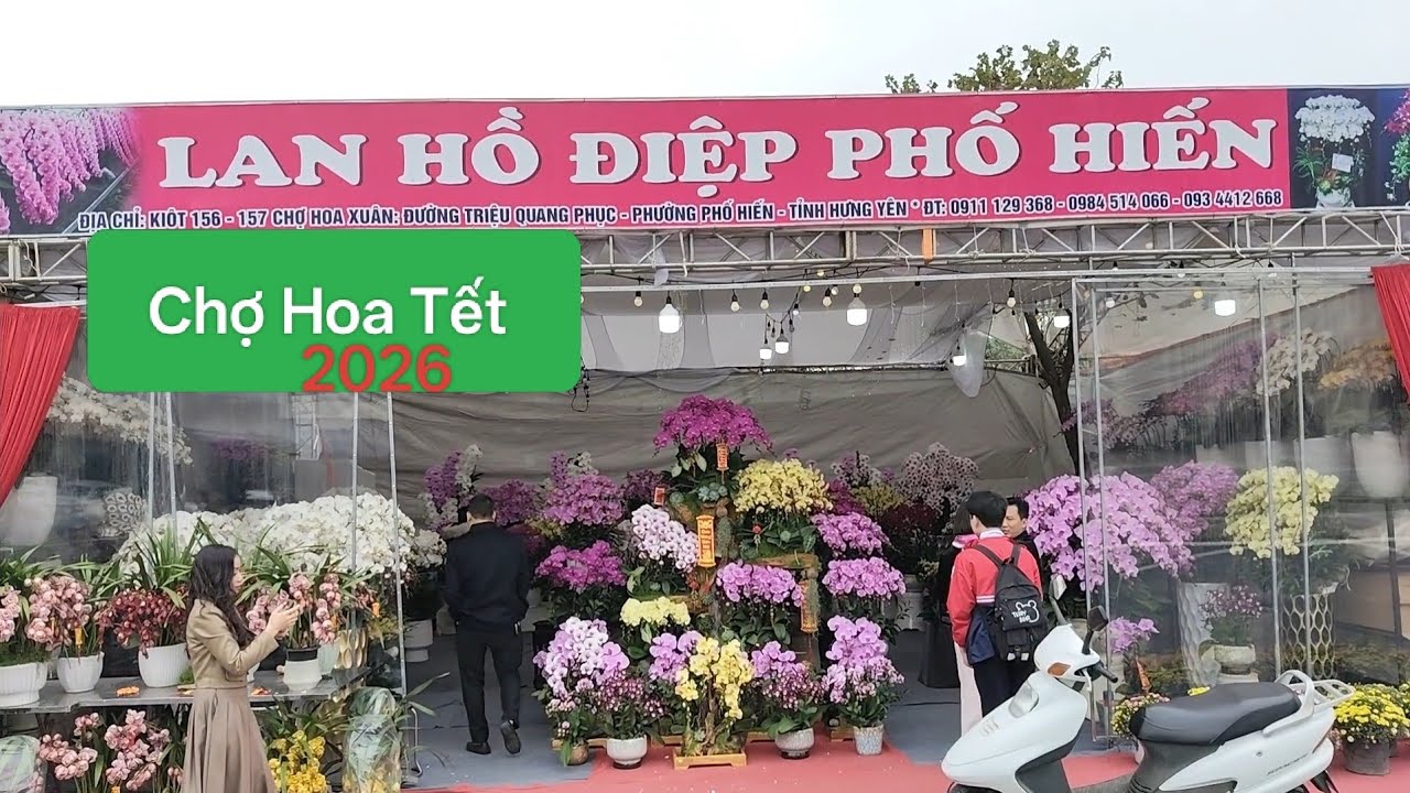Gian hàng lan cực đẹp ở chợ hoa xuân tết Phố Hiến 2026