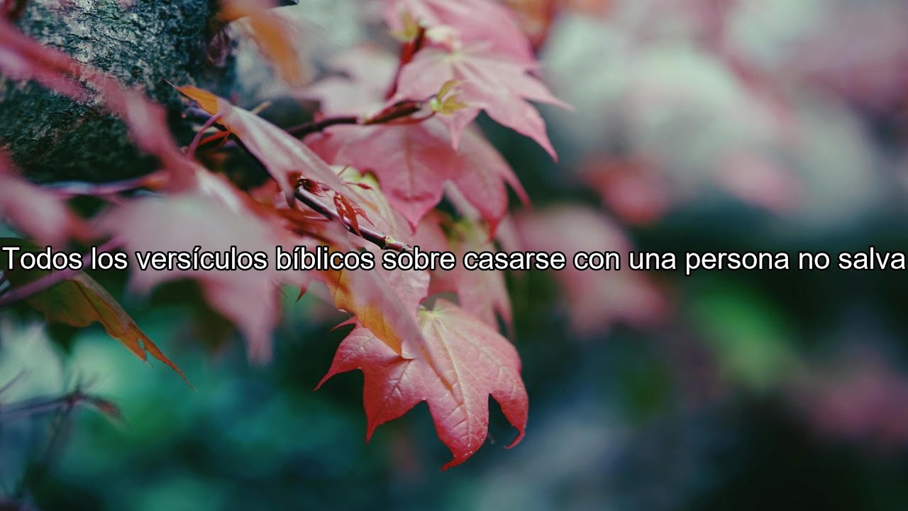 Qué dice la Biblia acerca de casarse con una persona no salva - Todos los versículos bíblicos ...