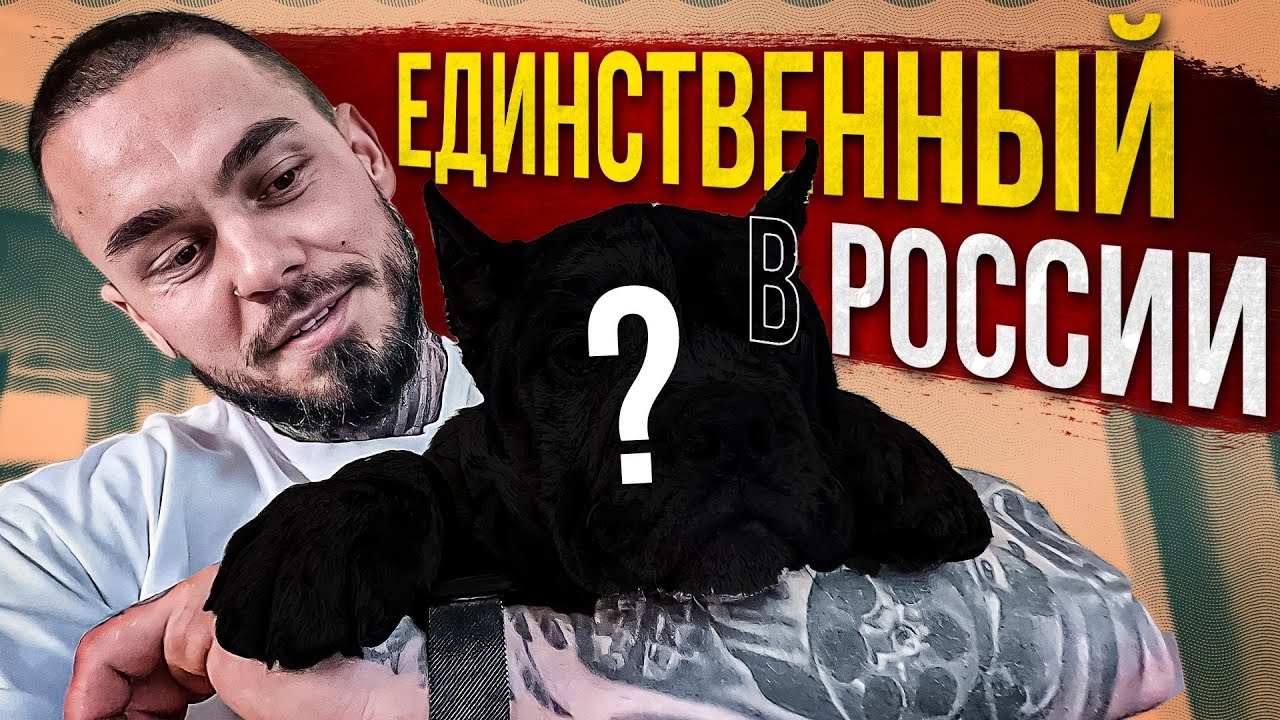 ЩЕНОК В ДОМЕ - ВОСПИТАНИЕ ЩЕНКА