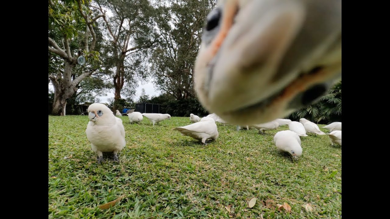 Hey! Get off my camera