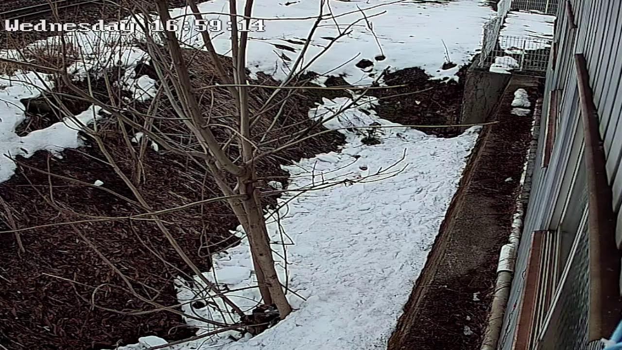 岩手県盛岡市西仙北線路前ライブカメラ Iwate Morioka Live camera.world.cam