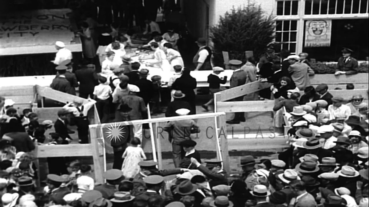 6600 people relish the giant short cake baked in Lebanon, Oregon. HD Stock Footage