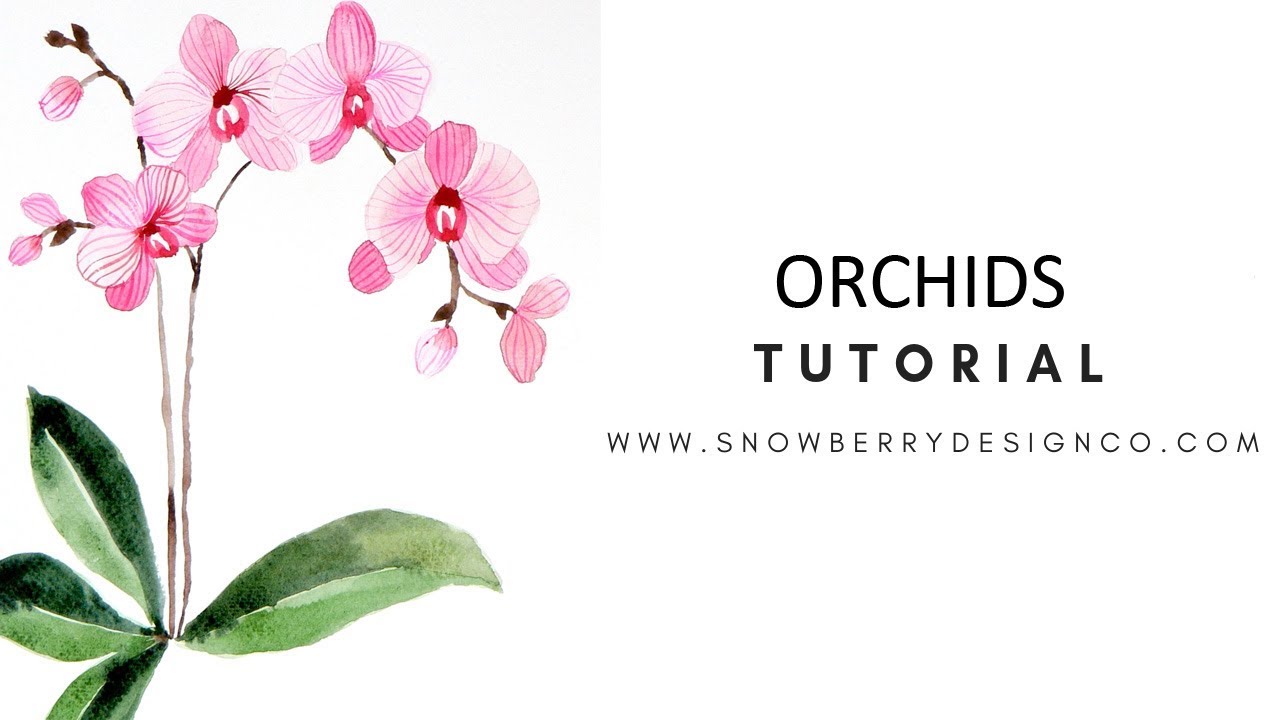 How To Paint Watercolor Orchids | BEGINNER TUTORIAL