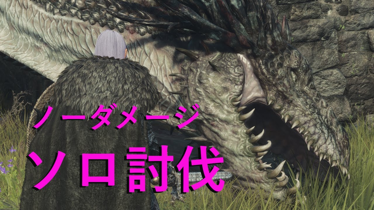 【ドラゴンズドグマ2】ドレイクをノーダメージ、ソロで倒す覚者タマ！～ファイター視点～