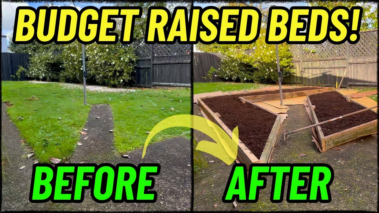 DIY Raised Garden Beds for FREE | Budget No Dig Method 2025