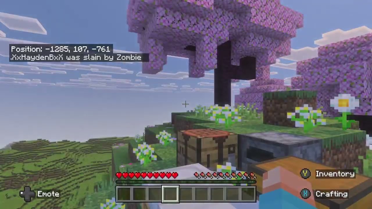 Minecraft Playing on a Server