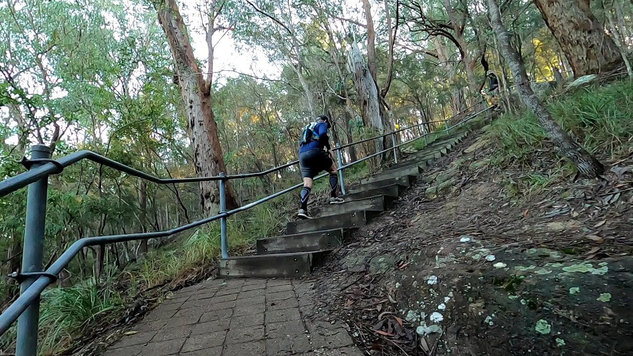 Springwood Stairs of Death
