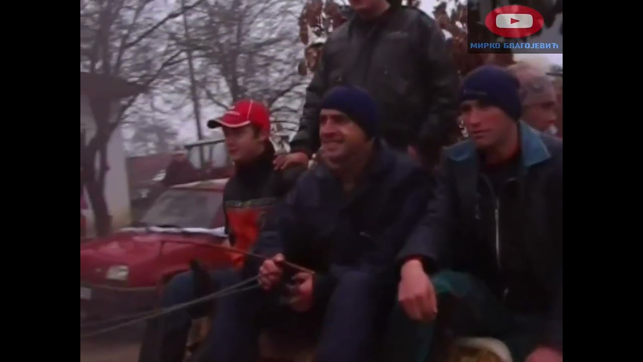 BADNJAK U MELINI PALACKOVICI,2010good