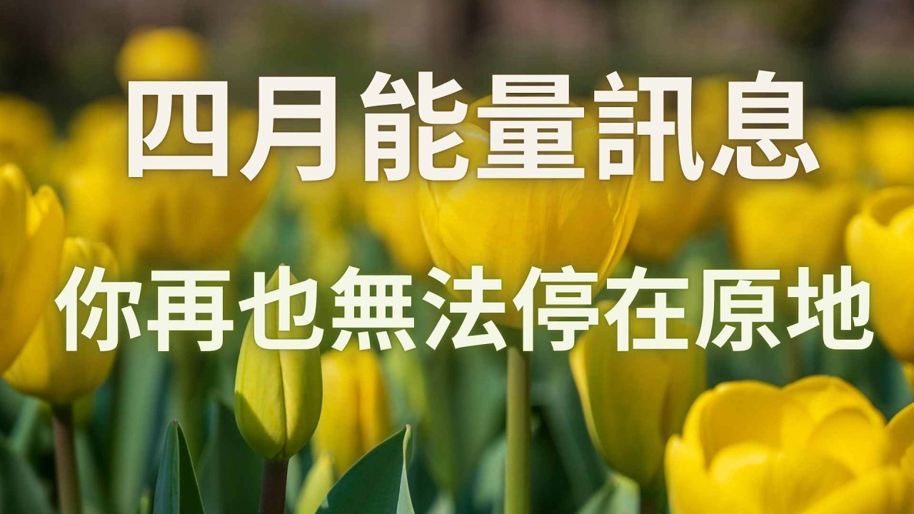 四月能量訊息｜你的人生開始「加速回饋」