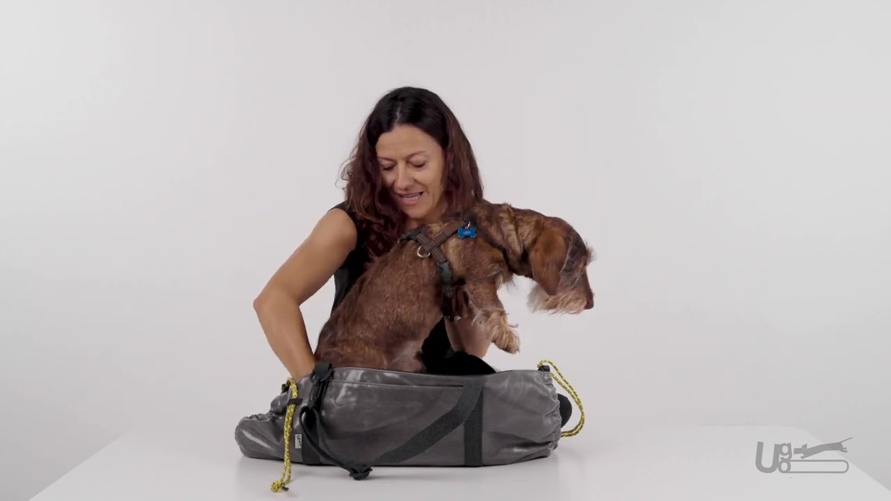 The perfect bag for dachshund: Ugo Shopping bag. How to wear it?