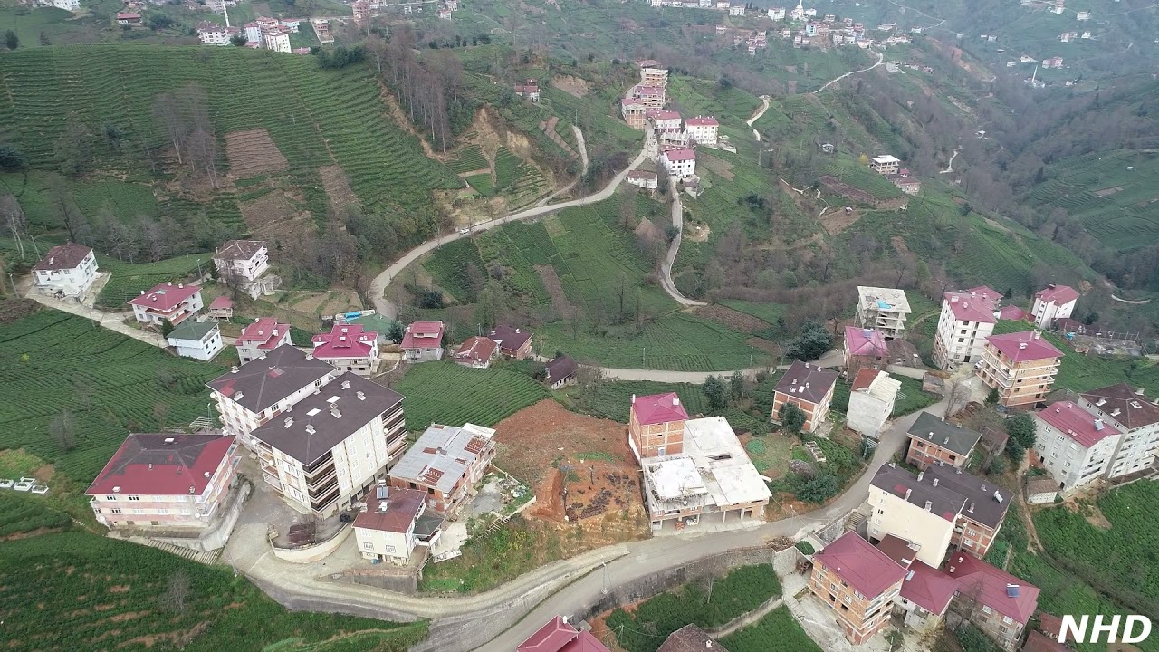 2021Maki / PINARCA