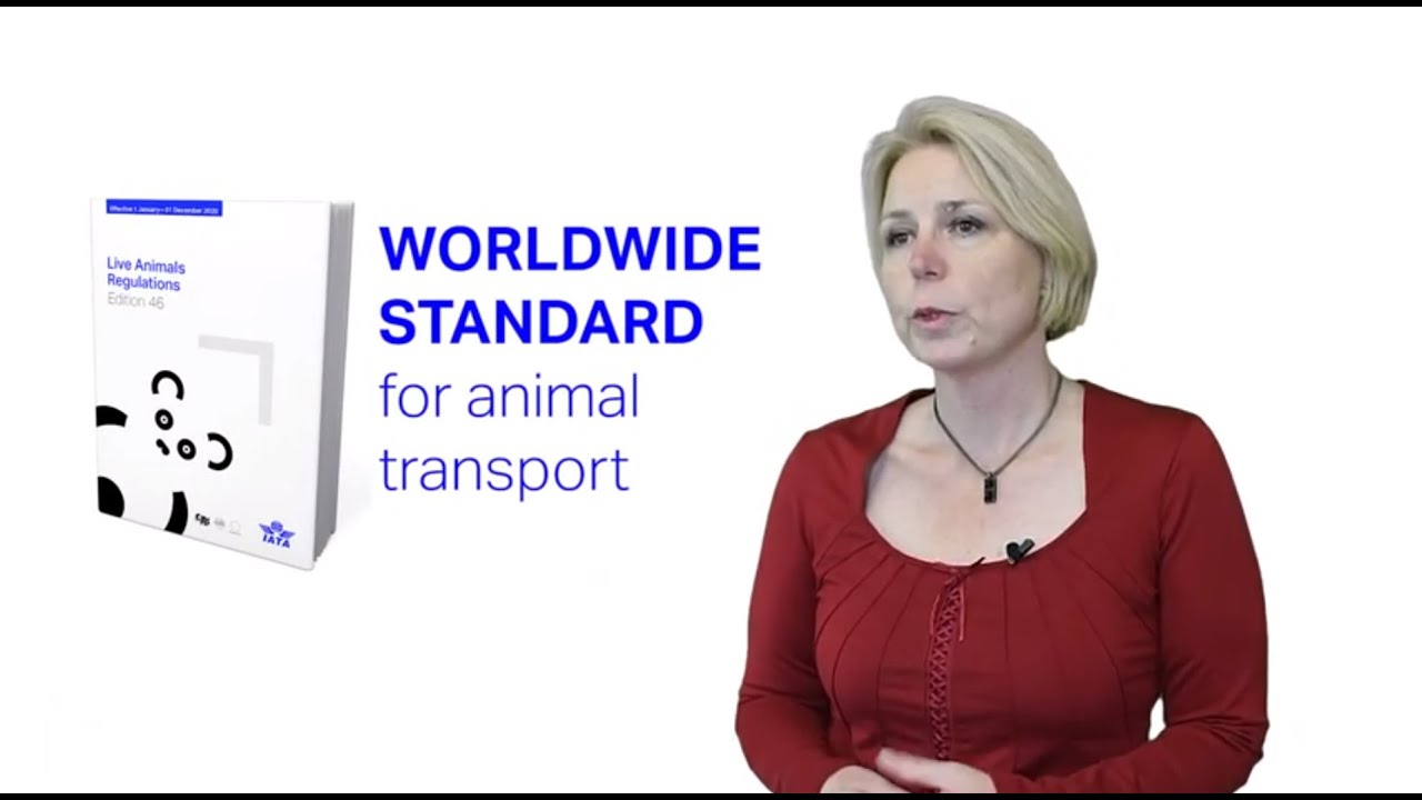 How to comply with live animal handling and transport regulations?