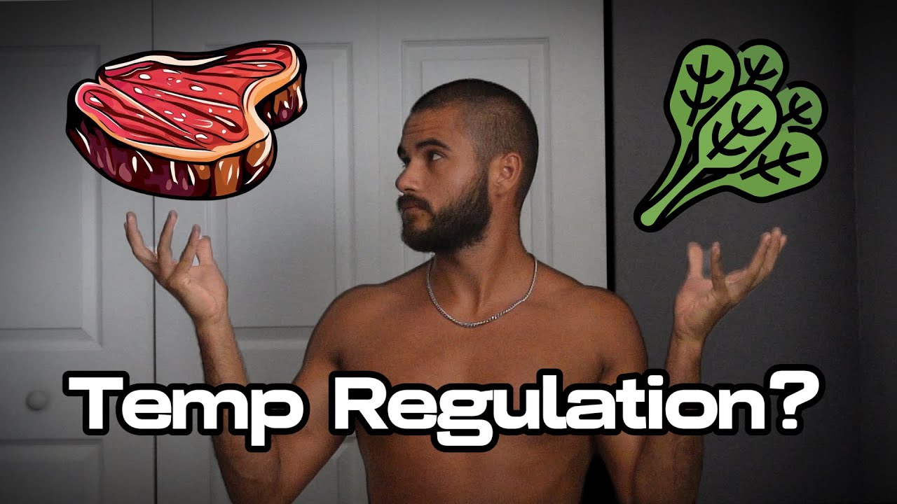 From Vegan to Carnivore: How Eating Meat Again Transformed My Body | Personal Experience