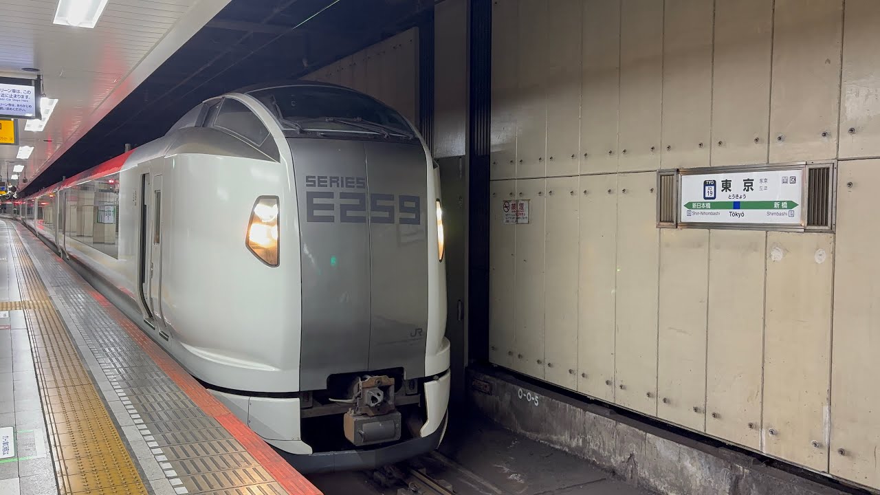 特急成田エクスプレス6号　新宿行き　E259系（Ne001編成）