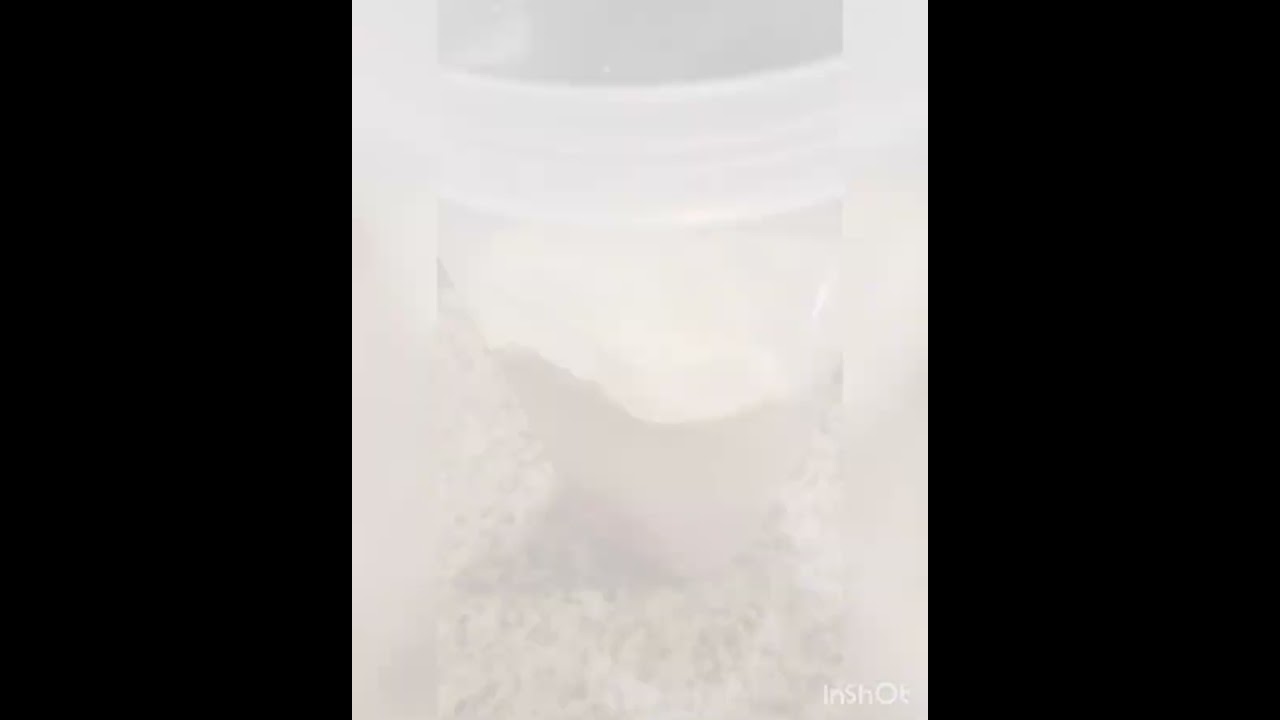 Coach Dinelle - How to make your Herbalife Meal Replacement Shake