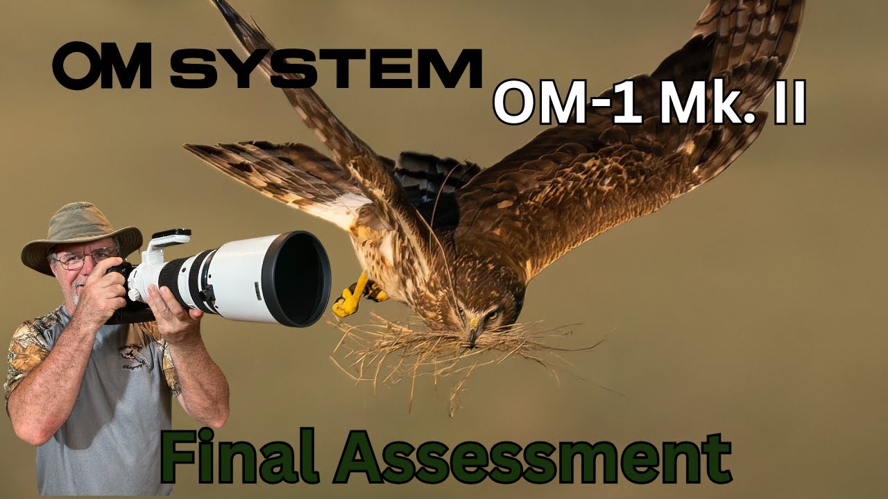 A Canon Photographer's Final Assessment of The OM-1 Mk. II - Montana Birds and Mammals
