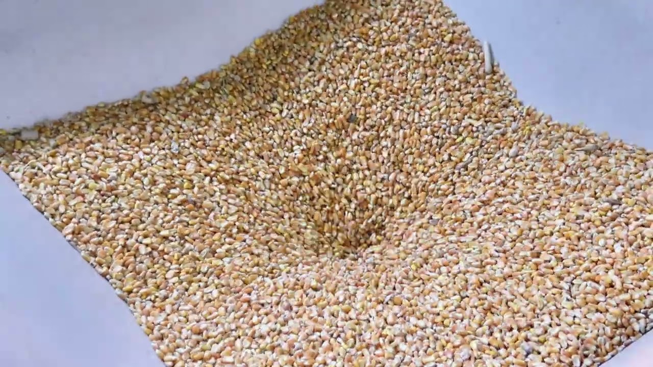 خط إنتاج أعلاف 1.5 طن في الساعة