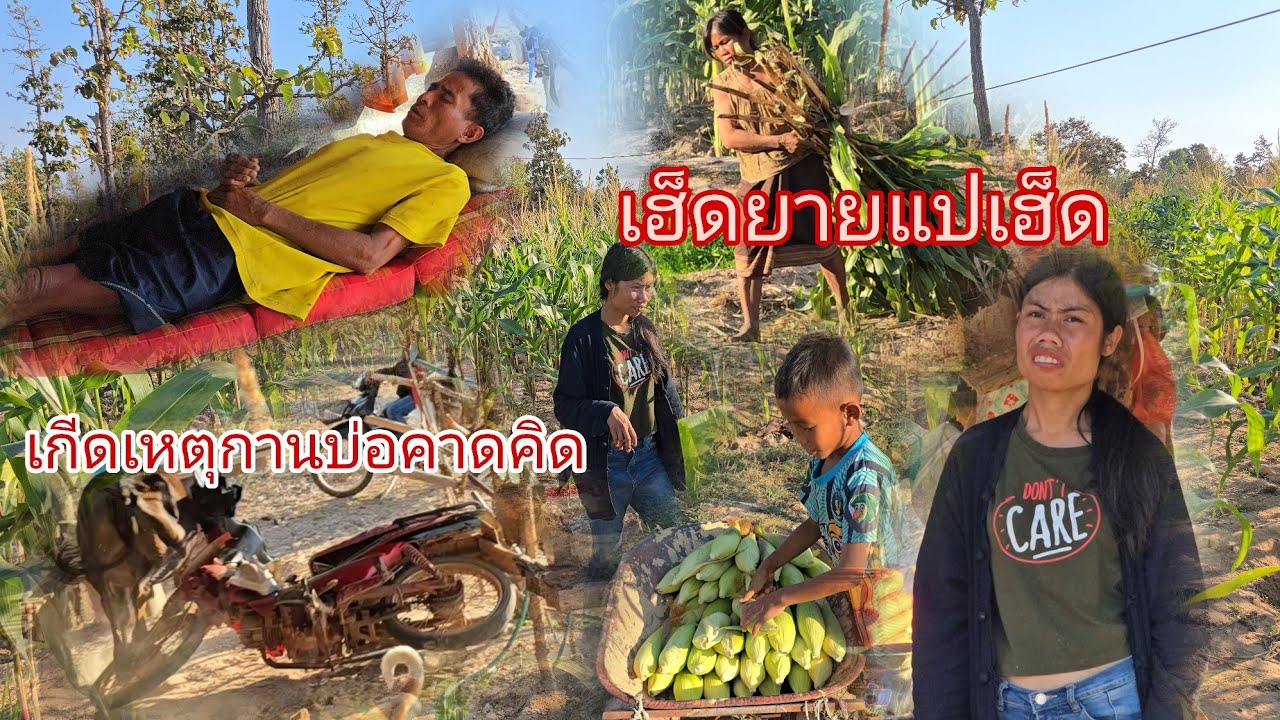 #ตาเงี่ยงบุกทังง่ายเกิดเหตุบ่อคาดคิดยายฮ้องตายกากๆ