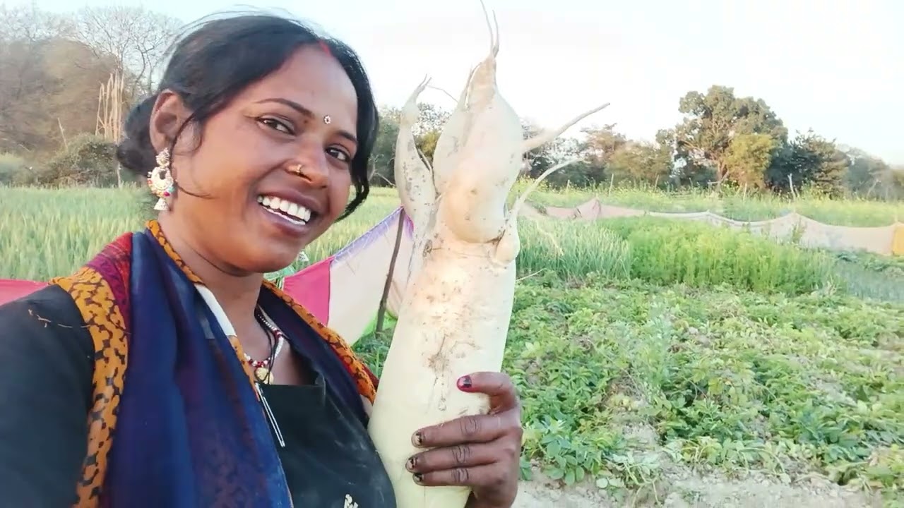 Hello doston yah##bol#comedy lywood song  hamara long vid#bhojpuri eo 🫶❤️🙏🌄