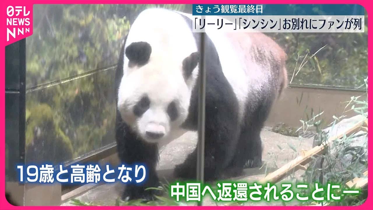 【28日、観覧最終日】「リーリー」と「シンシン」中国に返還へ…お別れにファンが列