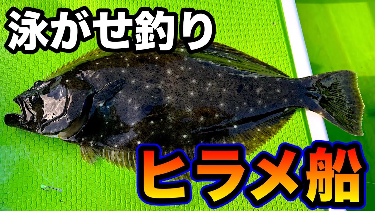 【泳がせ釣り】イワシでヒラメを釣る！葉山鐙摺港秀吉丸