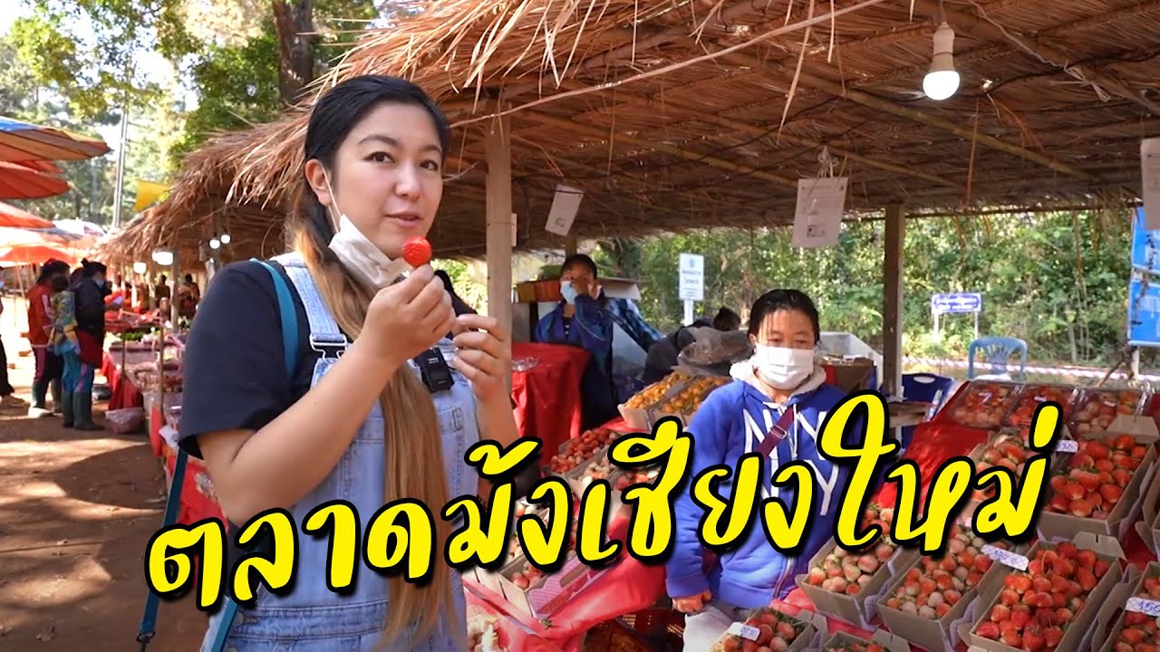 ตลาดม้งบนดอยเชียงใหม่ มีอะไรขายบ้าง? I เที่ยวเชียงใหม่ I กู๊ดเดย์ x โครงการหลวง
