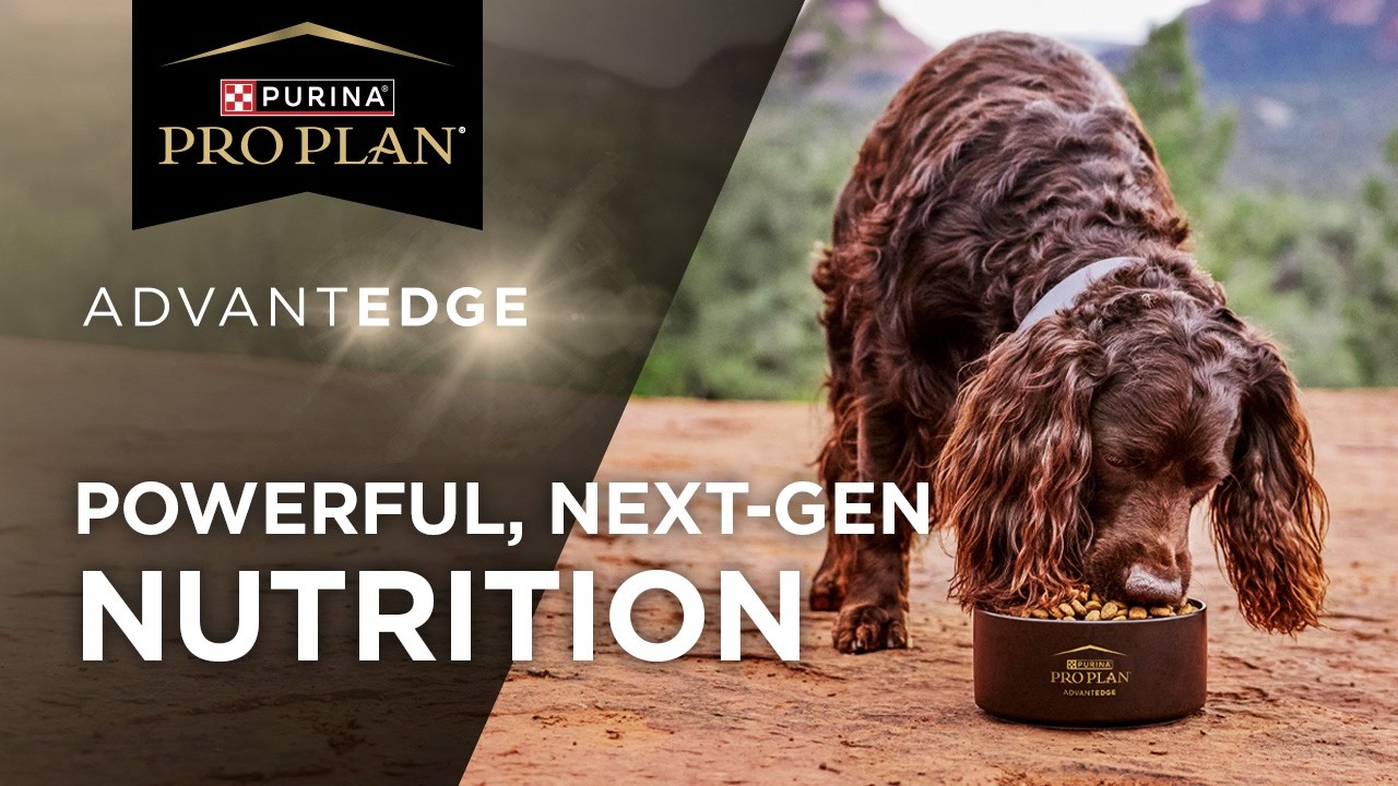 Pro Plan AdvantEDGE Dog Food - Powerful Next-Gen Nutrition