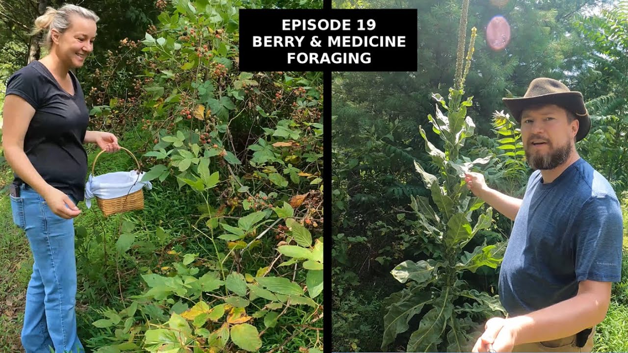 Episode 19 - Berry & Medicine Foraging