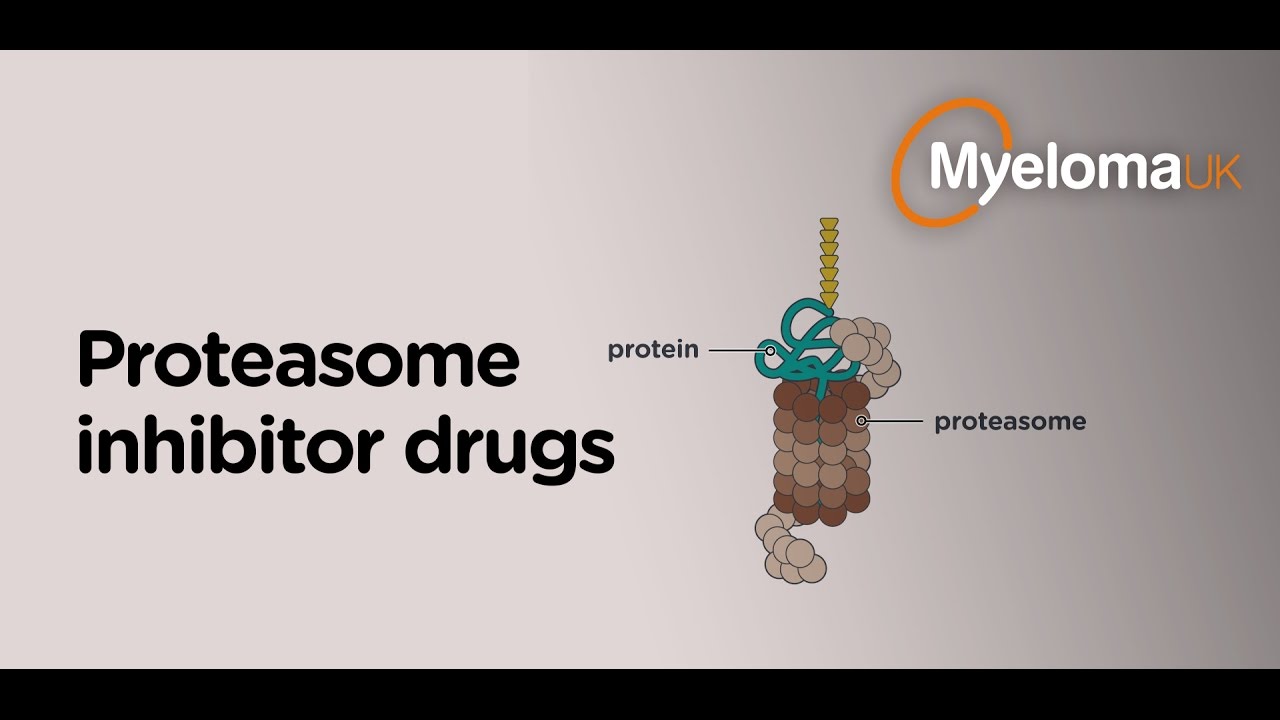 Proteasome inhibitor drugs