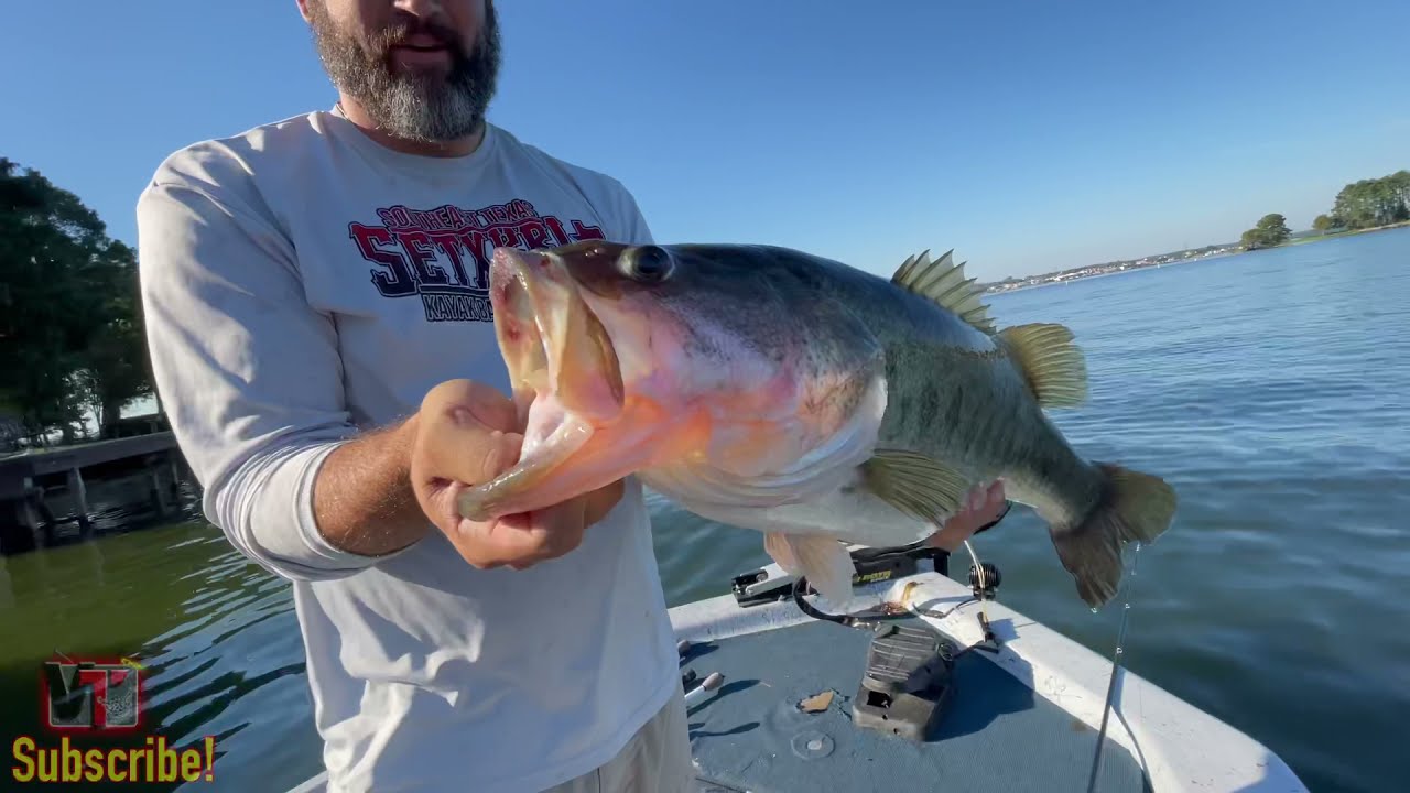 MOST Effective way to catch BIG BASS on Lake Conroe (BBT gets another Sharelunker)