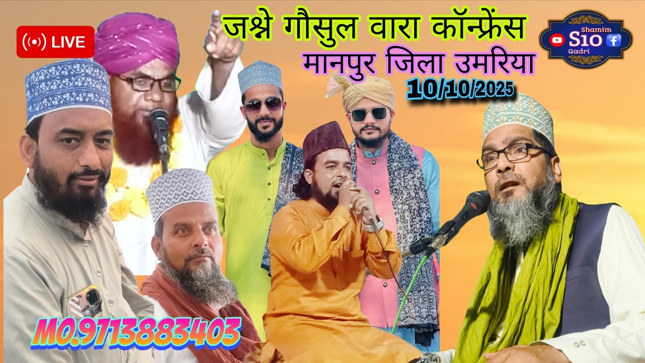व्यवहारी प्रोग्राम