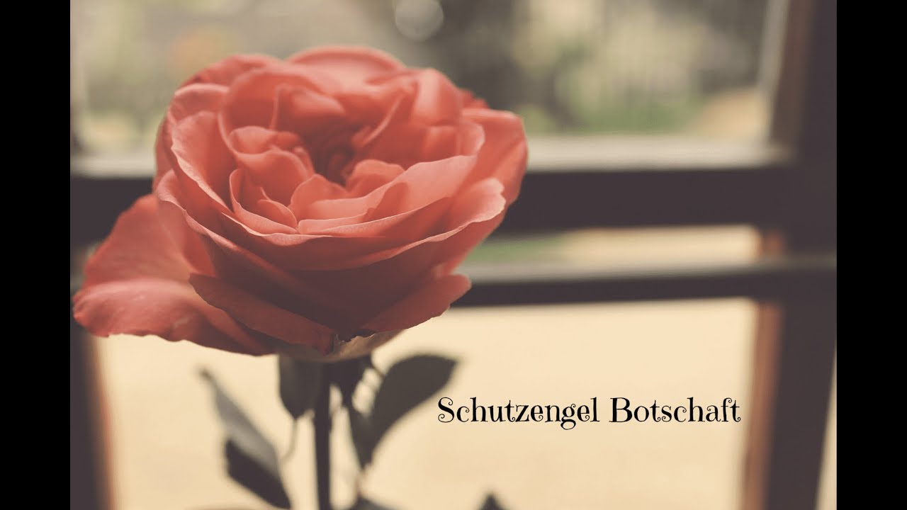 Schutzengel Botschaft f&uuml;r dich ❤️