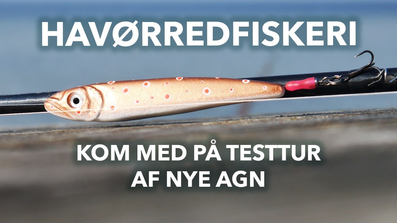 Havørred-jagt i Foråret: Eksklusivt Indblik - Prototyper Testes på Kysten!