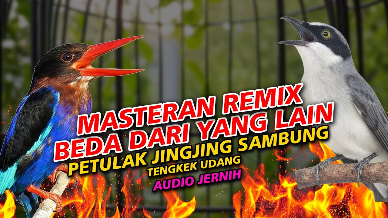 BEDA DARI YANG LAIN | MASTERAN REMIX JINGJING PETULAK SAMBUNG TENGKEK UDANG VIRAL 2025