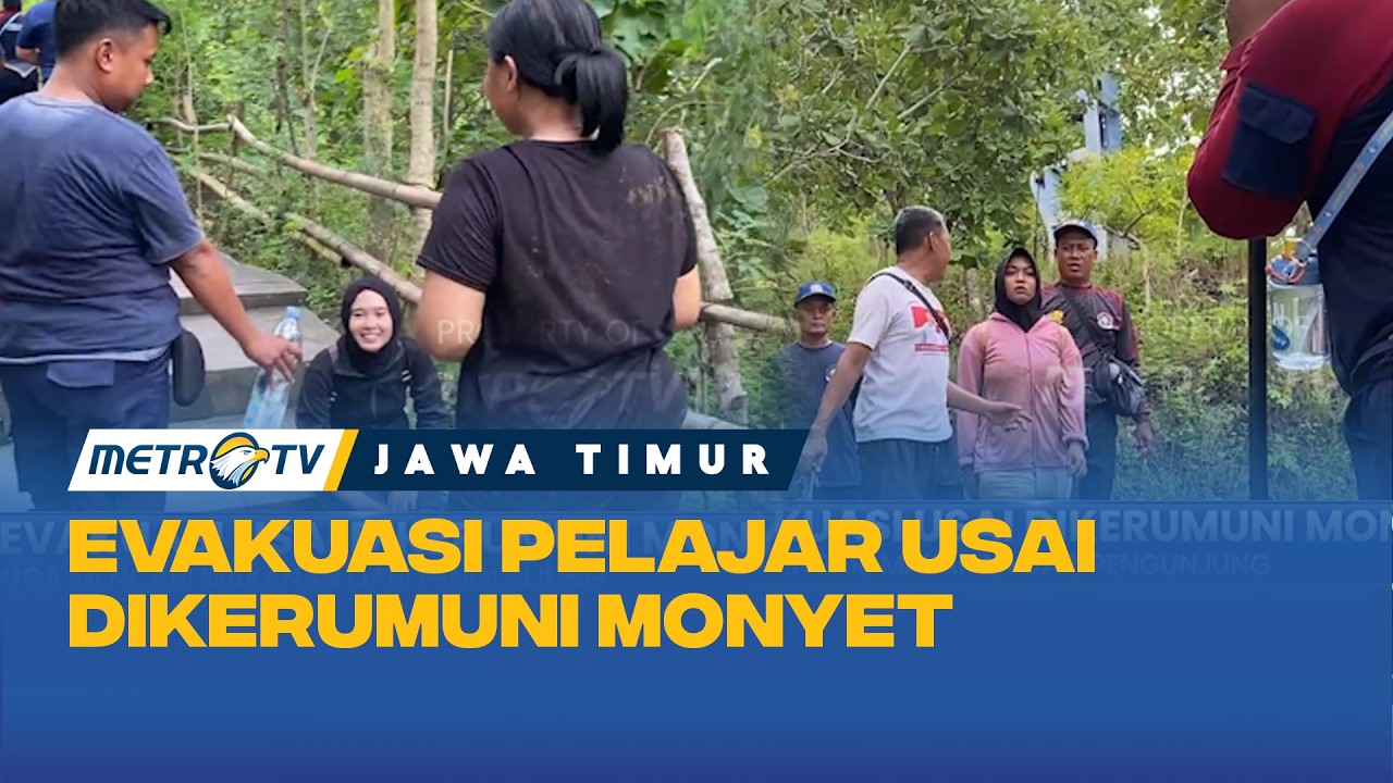 Pelajar Di Evakuasi Usai Dikerumuni Monyet