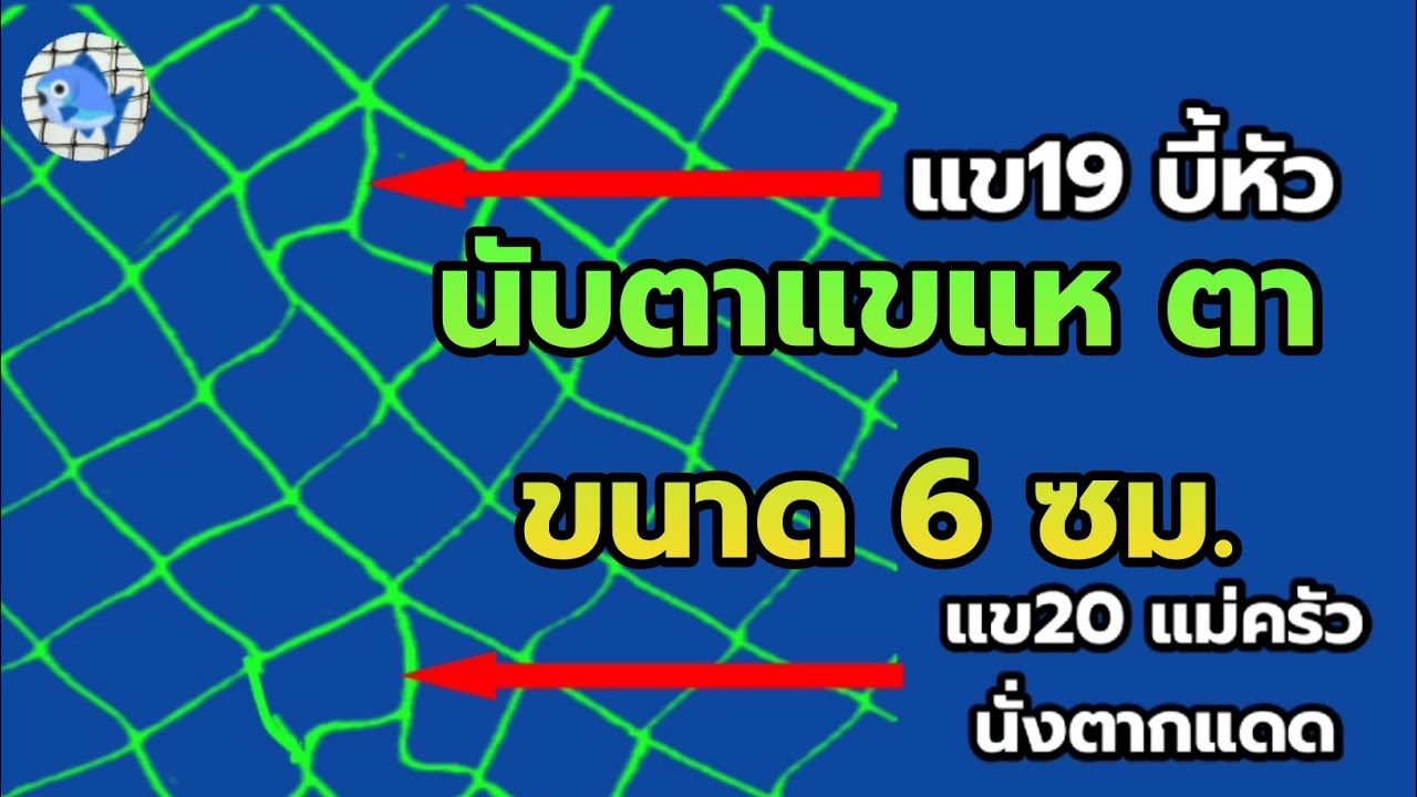 นับตาแขแห ตาขนาด 6 ซม. EP.2