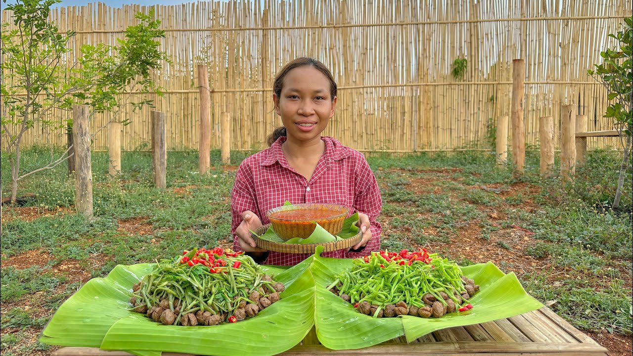 ប្រហិតត្រកួន ឆម ស្រីផាច - Chhom Sreypach